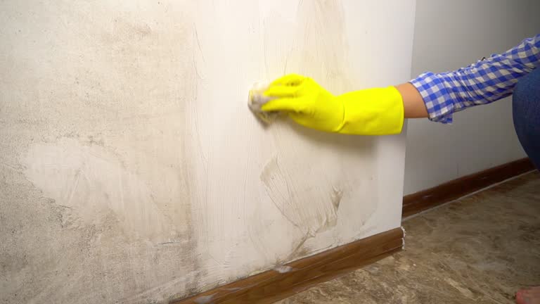 Best Indoor Air Quality Assessment  in Ocoee, FL