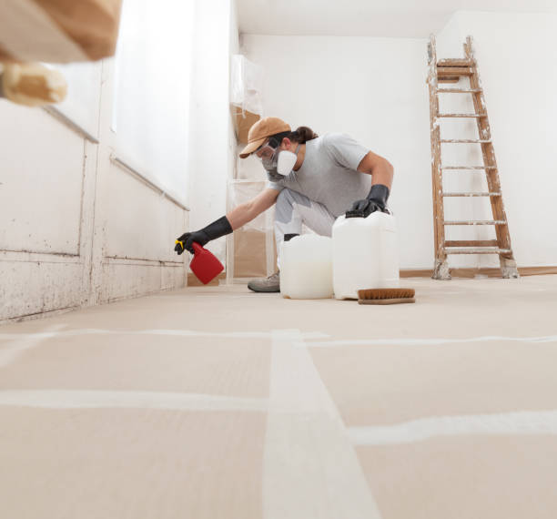 Best Comprehensive Air Testing for Mold Contaminants  in Ocoee, FL